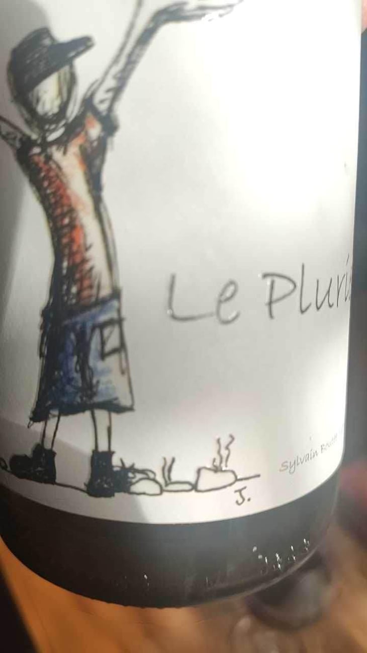 Le Pluriel Rouge - Clos Des Boutes - Sylvain Boutée 