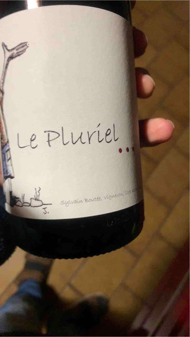 Le Pluriel Rouge - Clos Des Boutes - Sylvain Boutée 