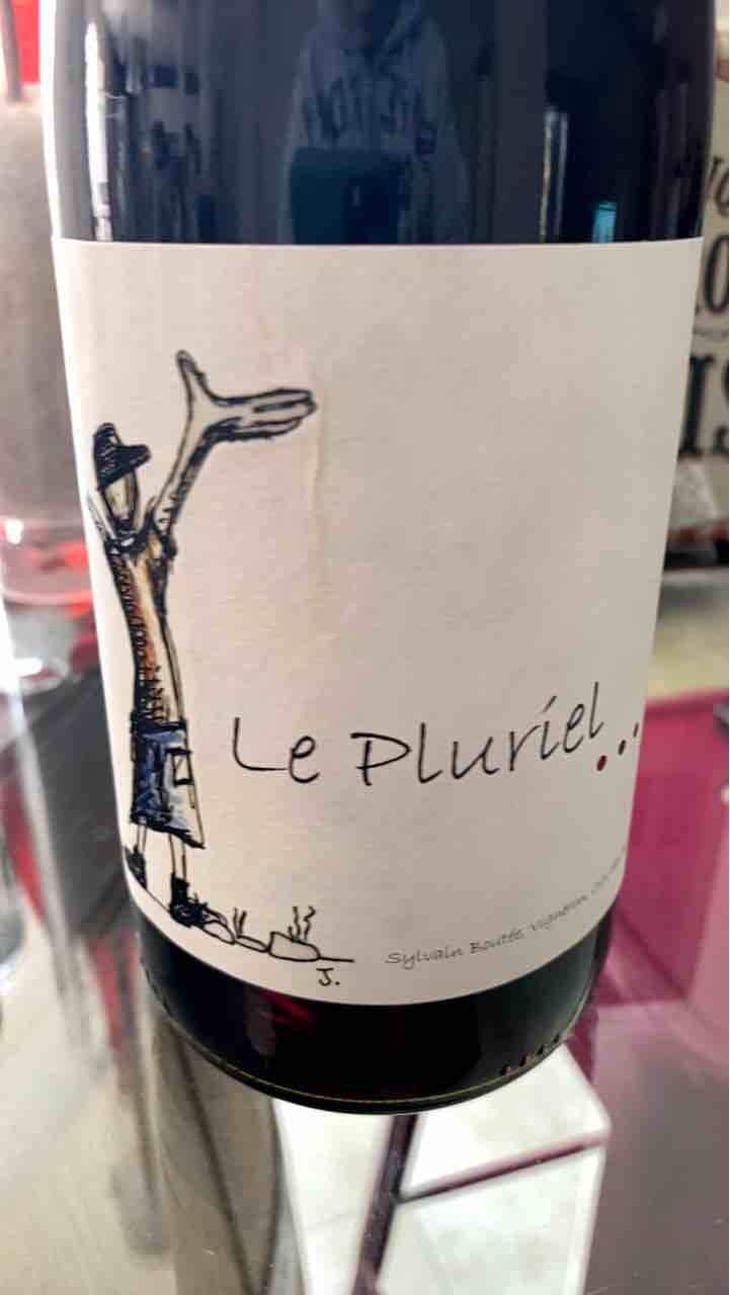 Le Pluriel Rouge - Clos Des Boutes - Sylvain Boutée 