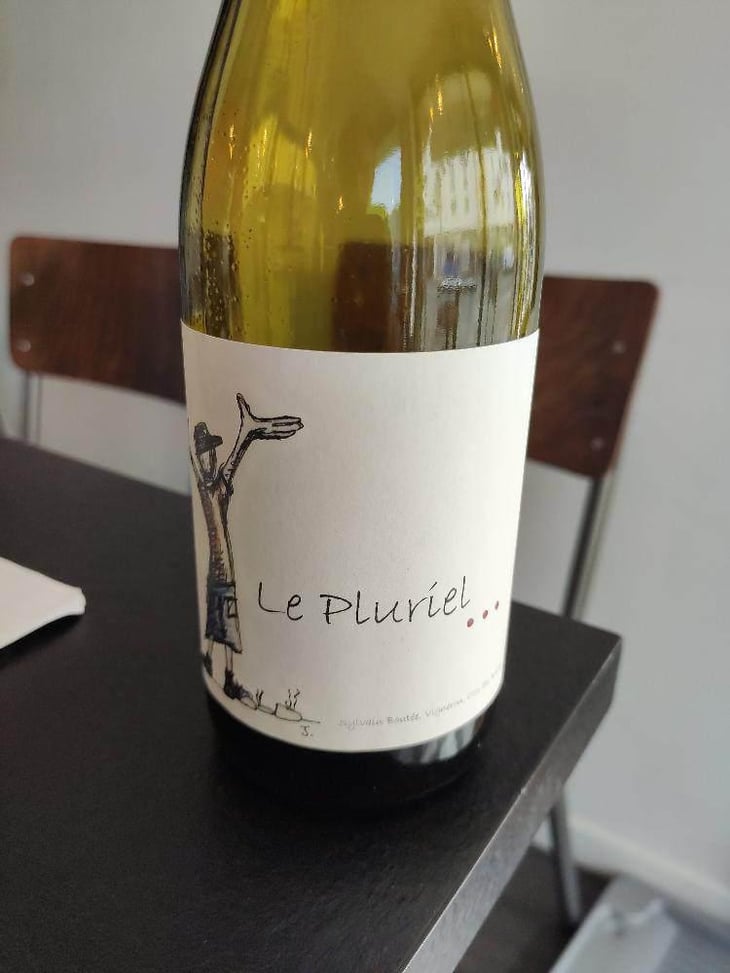 Le Pluriel Rouge - Clos Des Boutes - Sylvain Boutée 
