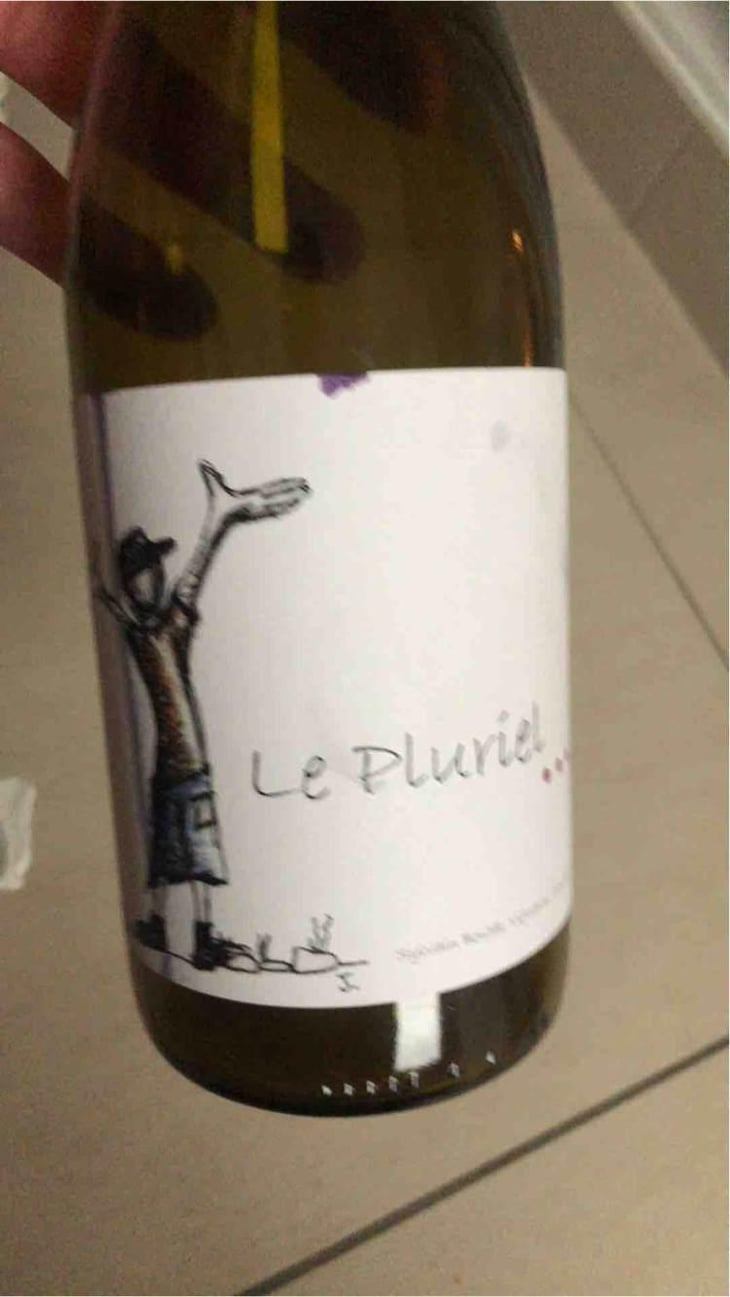 Le Pluriel Rouge - Clos Des Boutes - Sylvain Boutée 