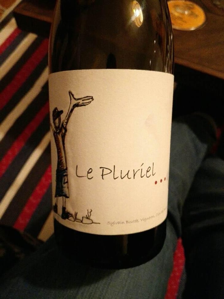 Le Pluriel Rouge - Clos Des Boutes - Sylvain Boutée 