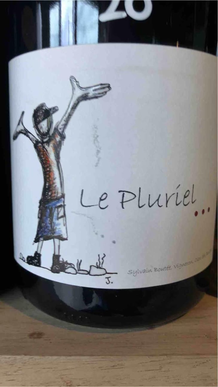 Le Pluriel Rouge - Clos Des Boutes - Sylvain Boutée 