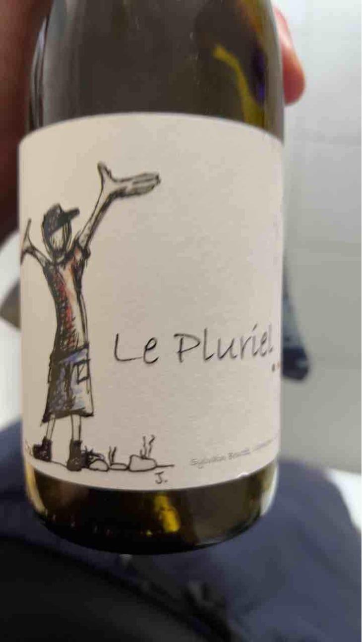 Le Pluriel Rouge - Clos Des Boutes - Sylvain Boutée 