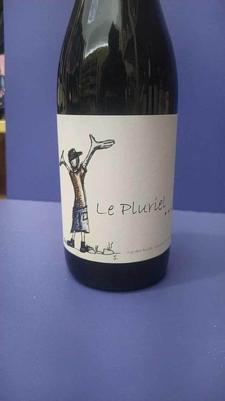 Le Pluriel Rouge - Clos Des Boutes - Sylvain Boutée 