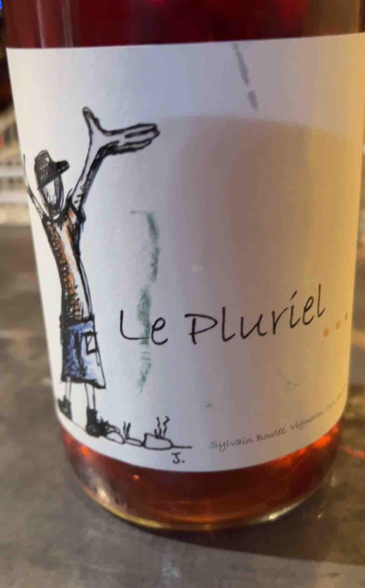 Le Pluriel Rouge - Clos Des Boutes - Sylvain Boutée 