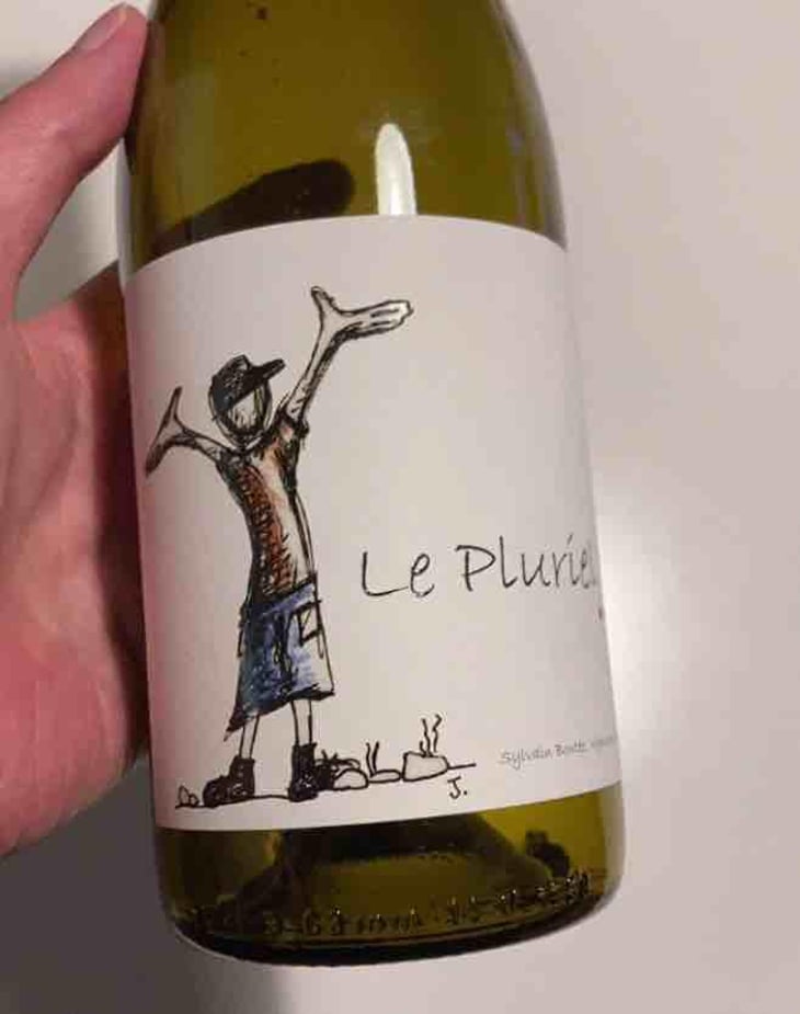 Le Pluriel Rouge - Clos Des Boutes - Sylvain Boutée 