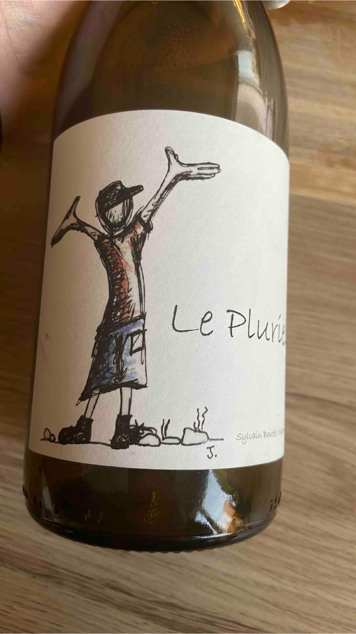 Le Pluriel Rouge - Clos Des Boutes - Sylvain Boutée 