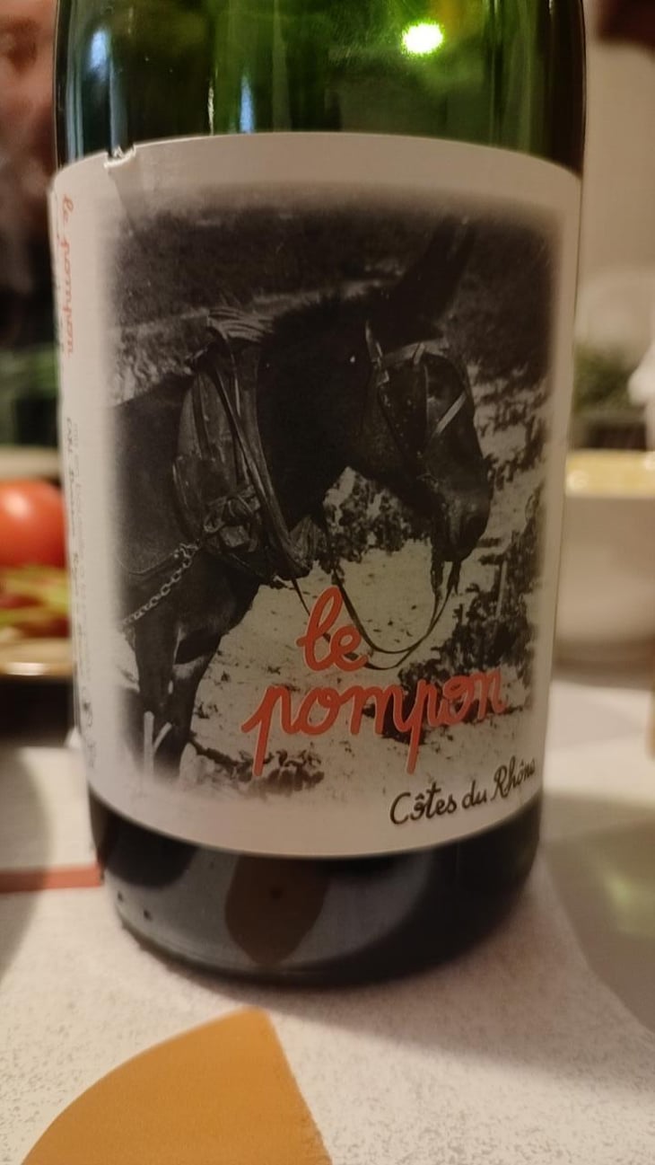 Le pompon - Domaine Boisson - Régis et Bruno Boisson -2021