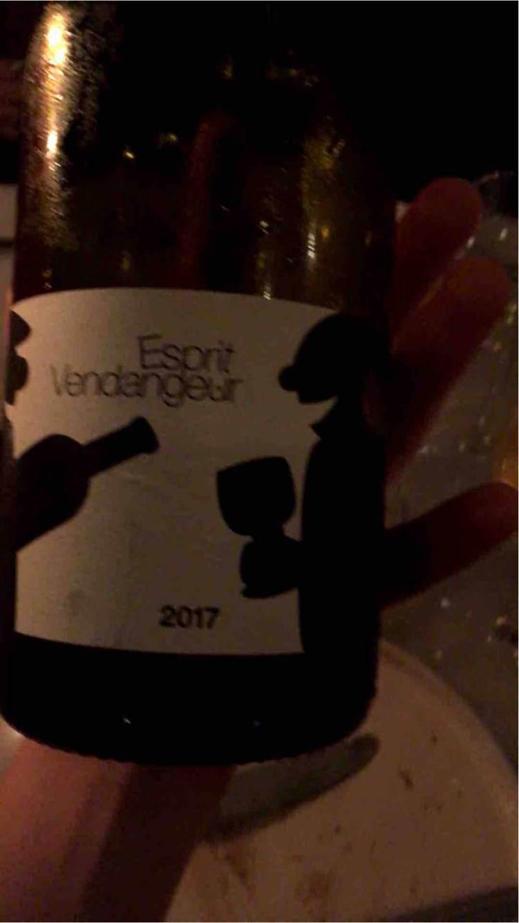 Le Pourboire du Vigneron - Domaine Thuronis - Vigneron Bien Fêteur - Alexandre Coulange & Astrid Lerouxel 