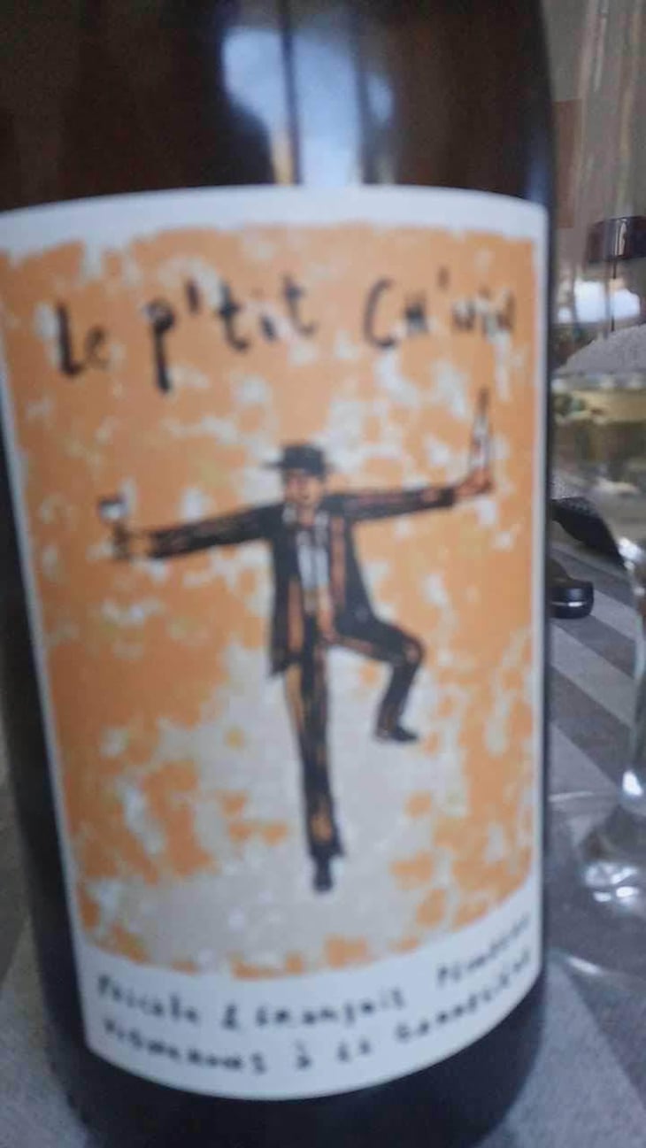 Le P'tit Ch'nin - Domaine de la Garreliére - Pascale & François Plouzeau 
