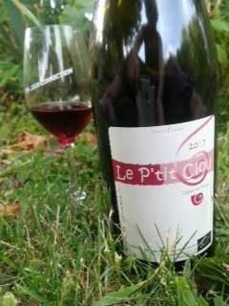 Le P'tit Clou - Domaine de Mirebeau - Bruno Rochard 