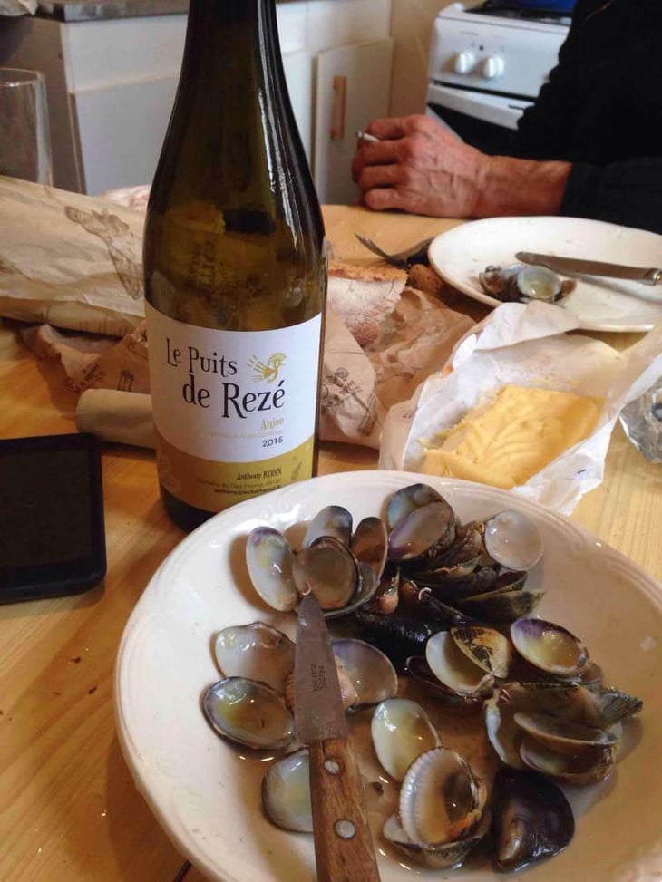 Le Puits de Rezé (Blanc) - Domaine du Clos Fremur - Anthony Robin 