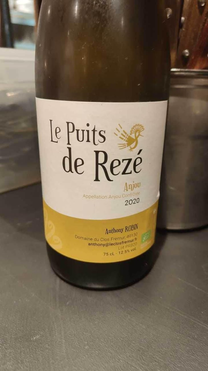 Le Puits De Rezé (Rouge) - Domaine du Clos Fremur - Anthony Robin 