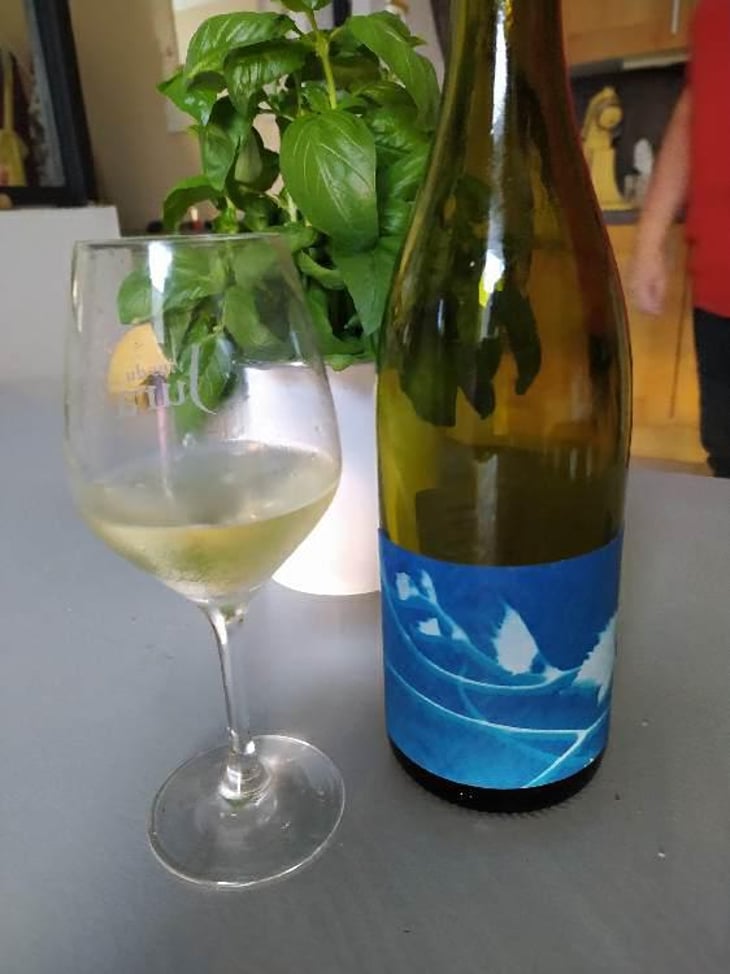Le Rayon Blanc - Thomas Puéchavy - Thomas Puéchavy -2019