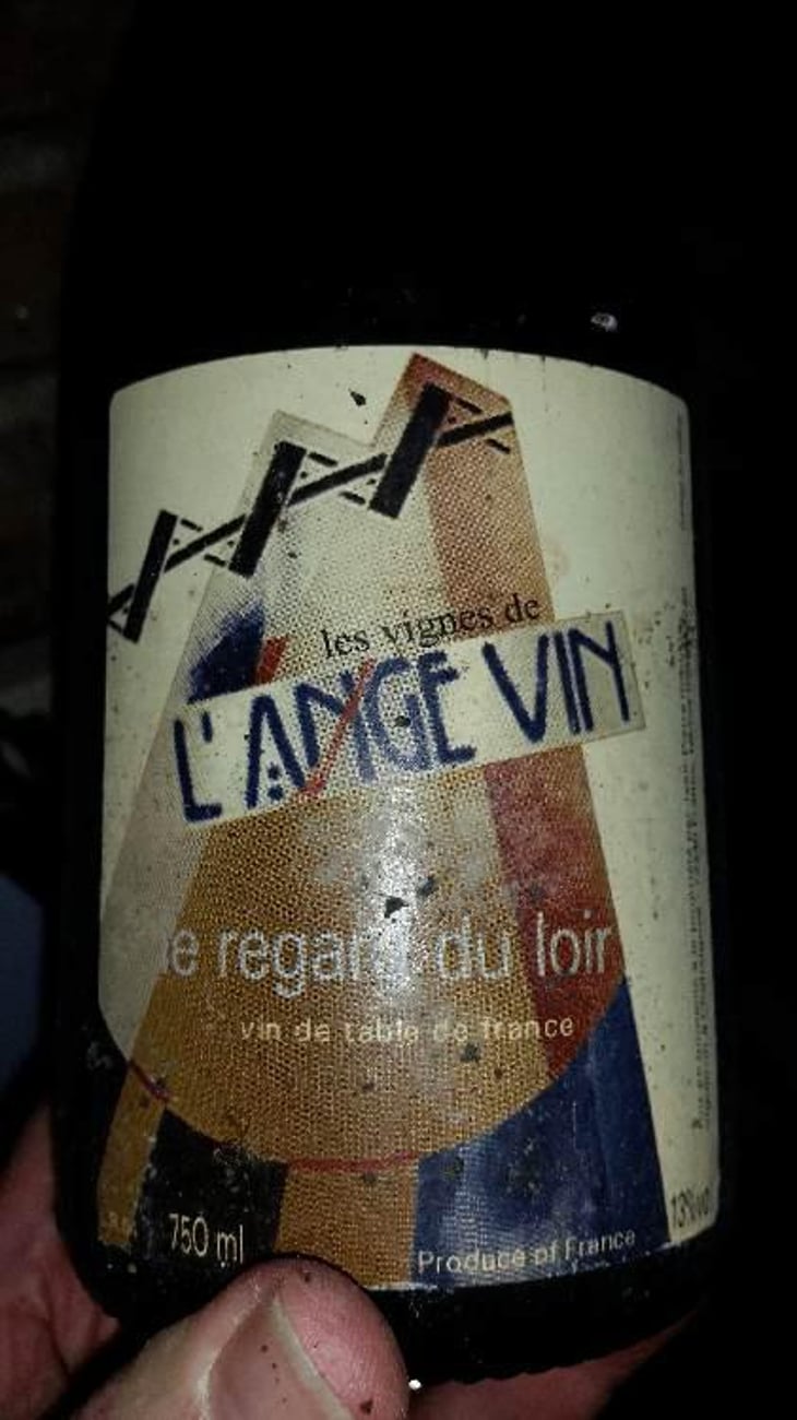 Le Regard - Les Vignes de l'Angevin - Jean-Pierre Robinot 