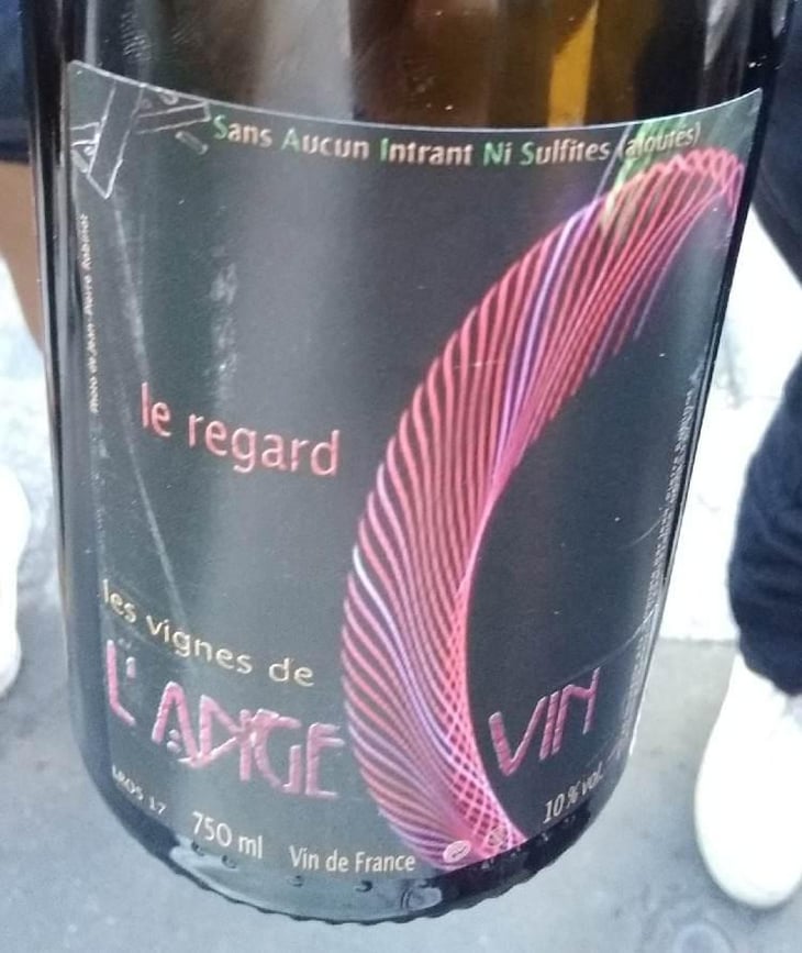 Le Regard - Les Vignes de l'Angevin - Jean-Pierre Robinot 