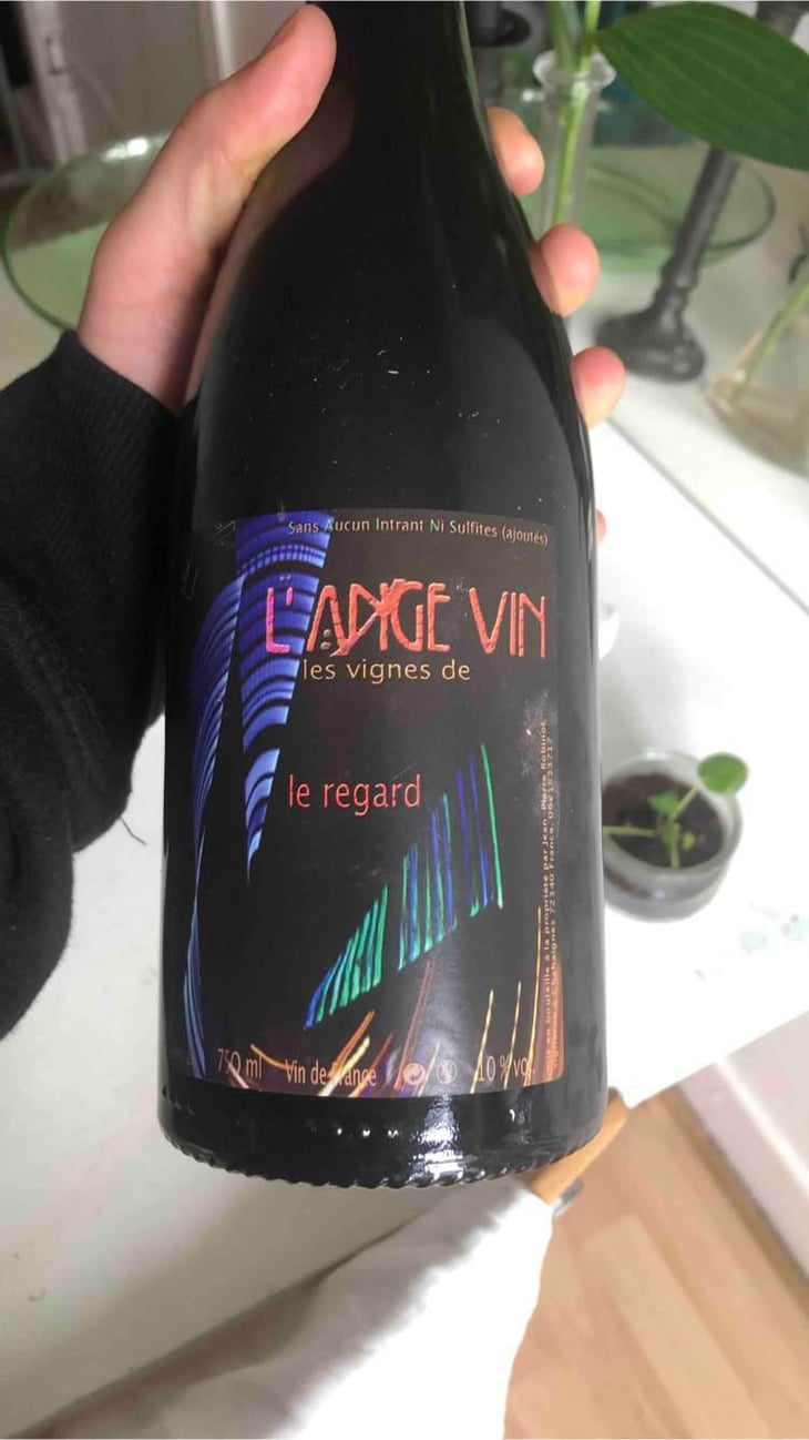 Le Regard - Les Vignes de l'Angevin - Jean-Pierre Robinot 