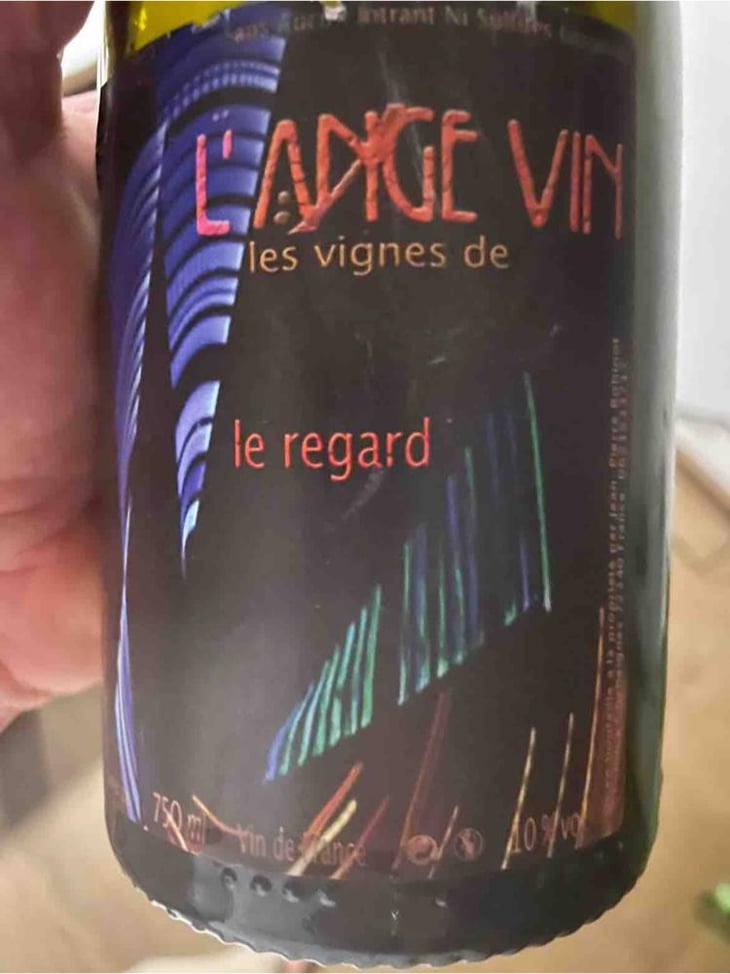 Le Regard - Les Vignes de l'Angevin - Jean-Pierre Robinot 