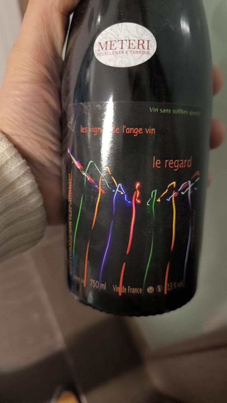 Le Regard - Les Vignes de l'Angevin - Jean-Pierre Robinot 