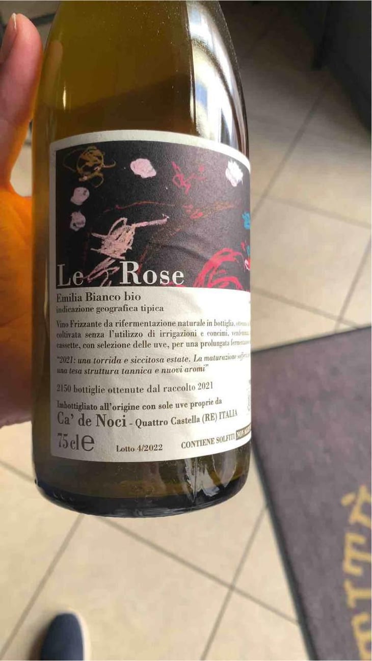 Le Rose - Ca De Noci - Alberto & Giovanni Masini 