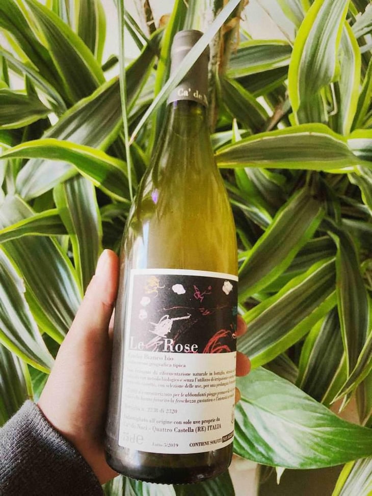 Le Rose - Ca De Noci - Alberto & Giovanni Masini 