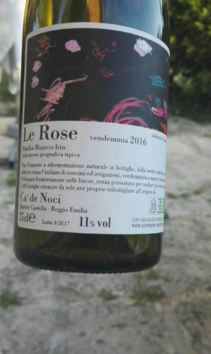 Le Rose - Ca De Noci - Alberto & Giovanni Masini 