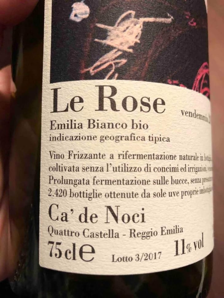 Le Rose - Ca De Noci - Alberto & Giovanni Masini 