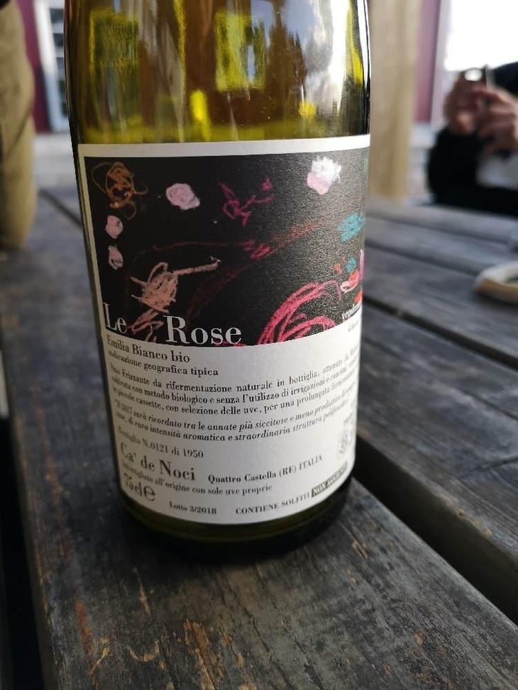 Le Rose - Ca De Noci - Alberto & Giovanni Masini 