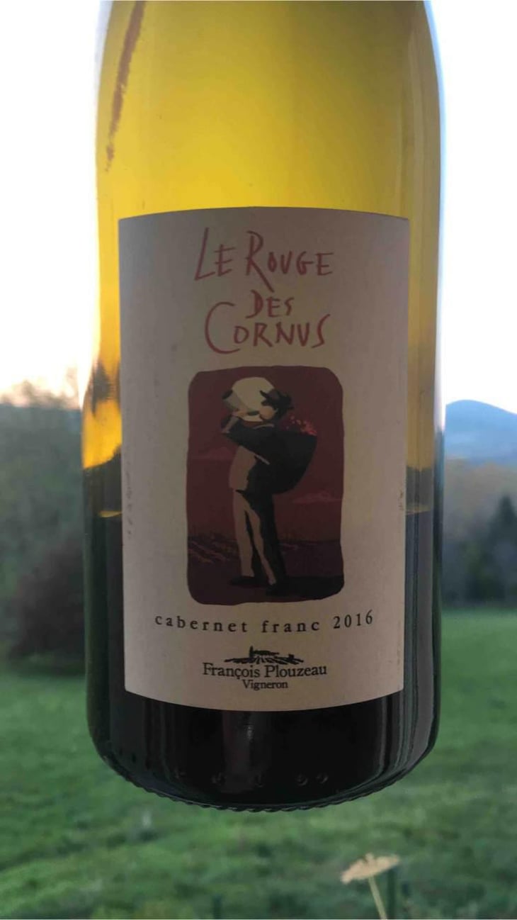 Le Rouge des Cornus - Domaine de la Garreliére - Pascale & François Plouzeau 