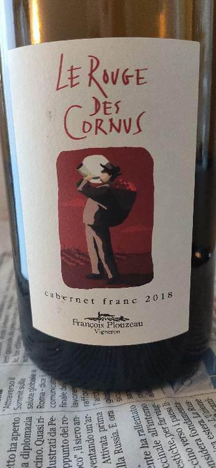 Le Rouge des Cornus - Domaine de la Garreliére - Pascale & François Plouzeau 
