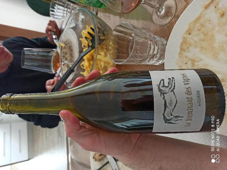 Le Ruminant Des Vignes - Haut-Campagnau - Dominique Andiran 