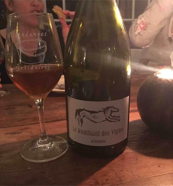Le Ruminant Des Vignes - Haut-Campagnau - Dominique Andiran 