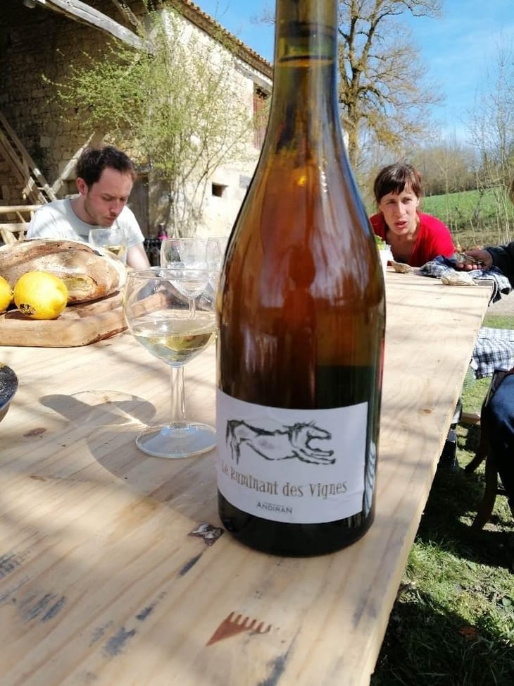 Le Ruminant Des Vignes - Haut-Campagnau - Dominique Andiran 