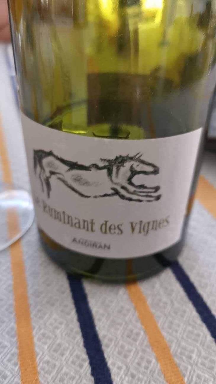 Le Ruminant Des Vignes - Haut-Campagnau - Dominique Andiran 