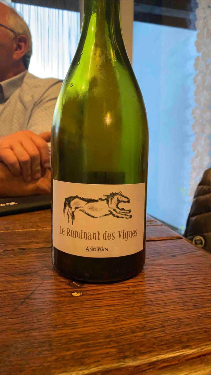 Le Ruminant Des Vignes - Haut-Campagnau - Dominique Andiran 