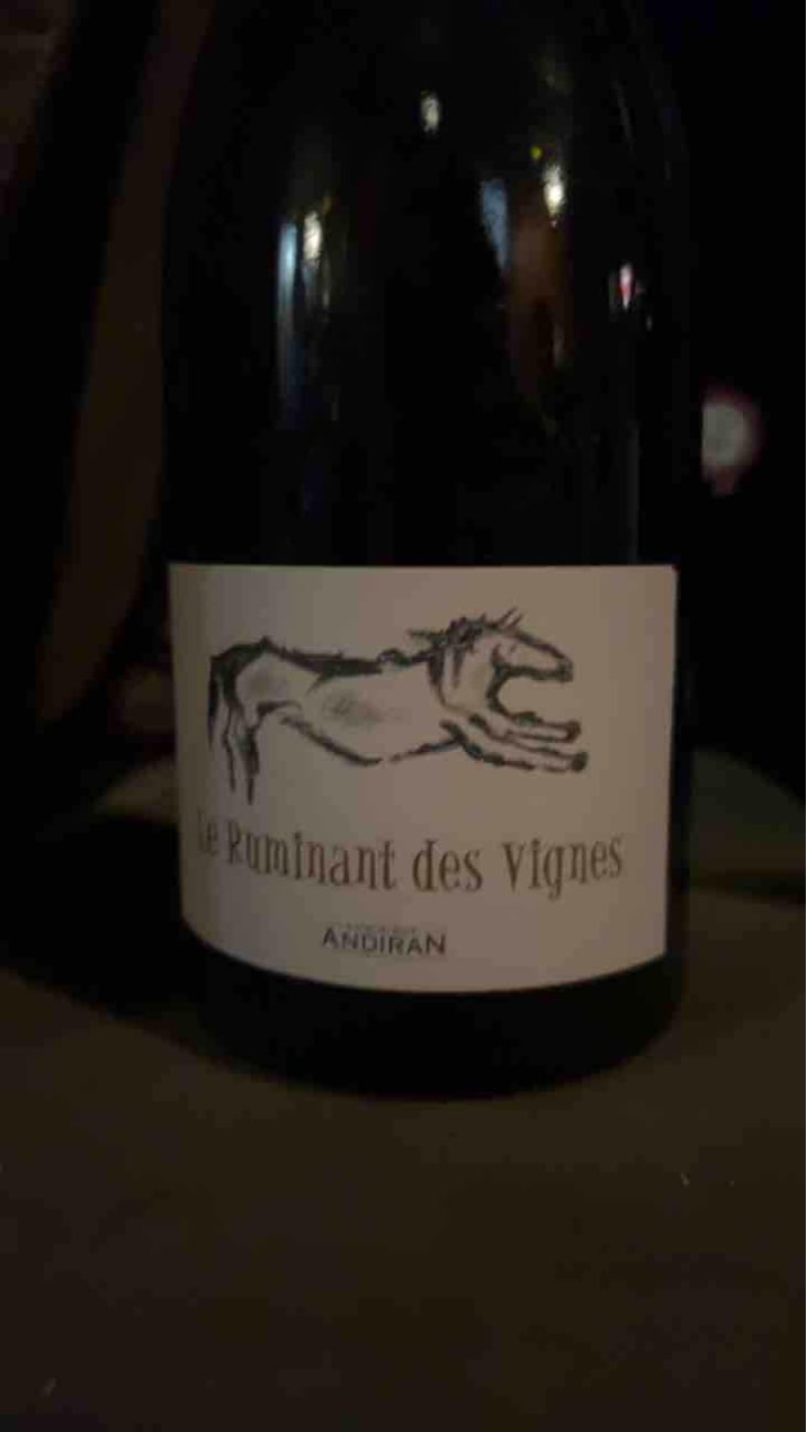 Le Ruminant Des Vignes - Haut-Campagnau - Dominique Andiran 