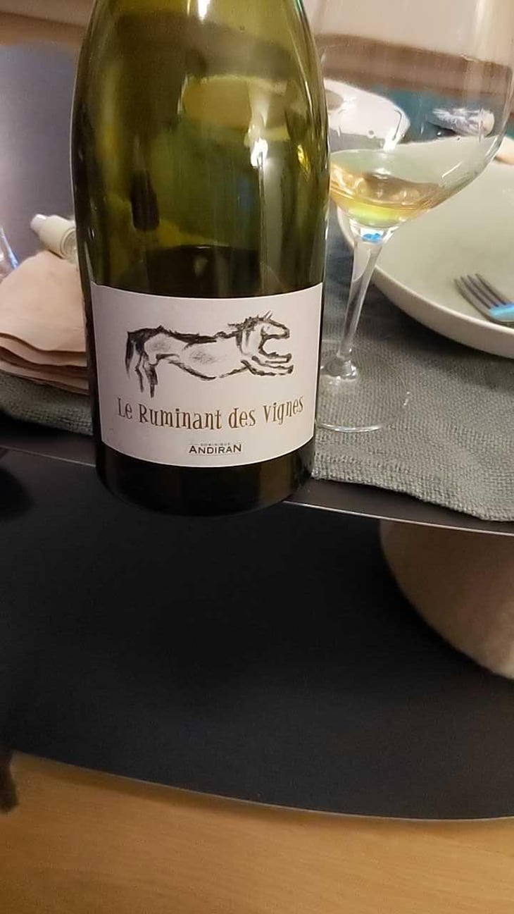 Le Ruminant Des Vignes - Haut-Campagnau - Dominique Andiran 