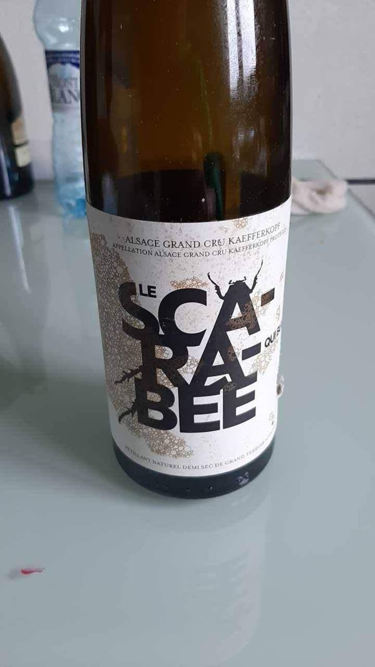 Le Scarabée qui Bulle - Domaine Christian Binner - Christian Binner et son équipe 