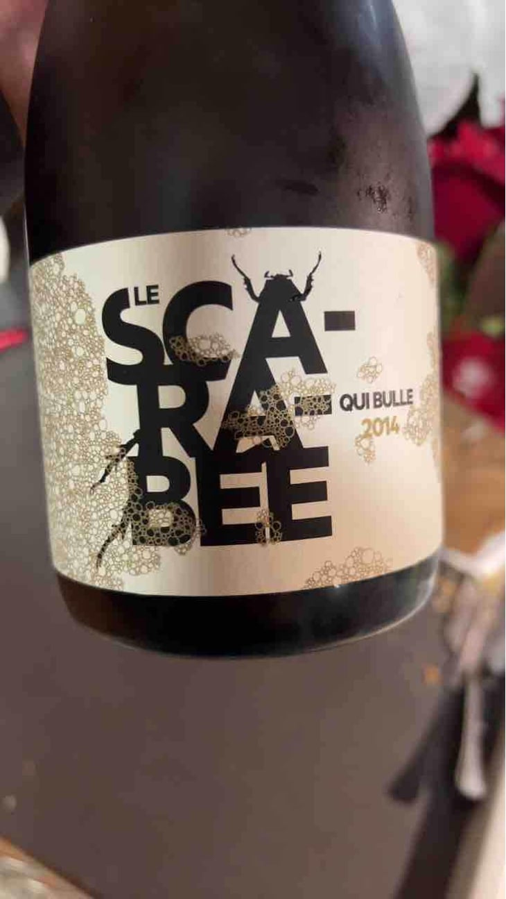 Le Scarabée qui Bulle - Domaine Christian Binner - Christian Binner et son équipe 