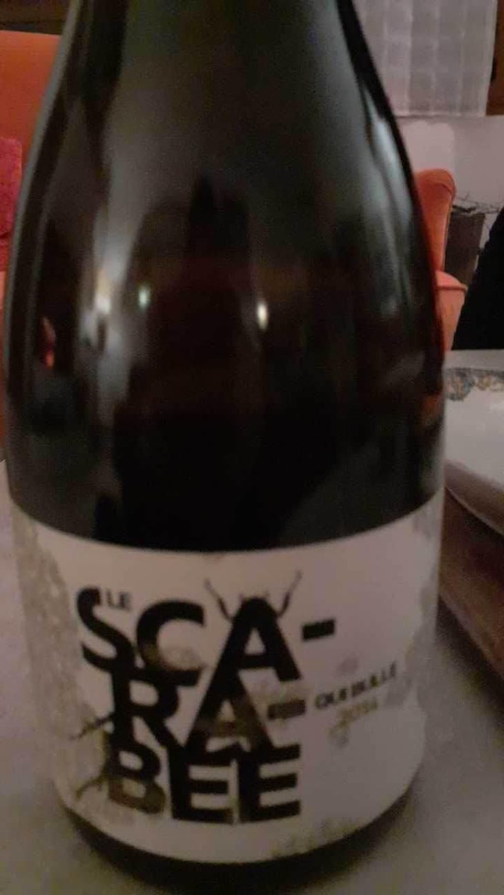Le Scarabée qui Bulle - Domaine Christian Binner - Christian Binner et son équipe 