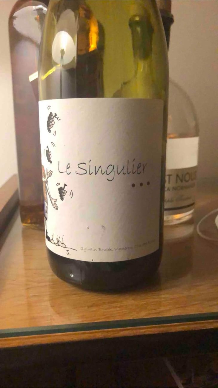 Le singulier - Clos Des Boutes - Sylvain Boutée 