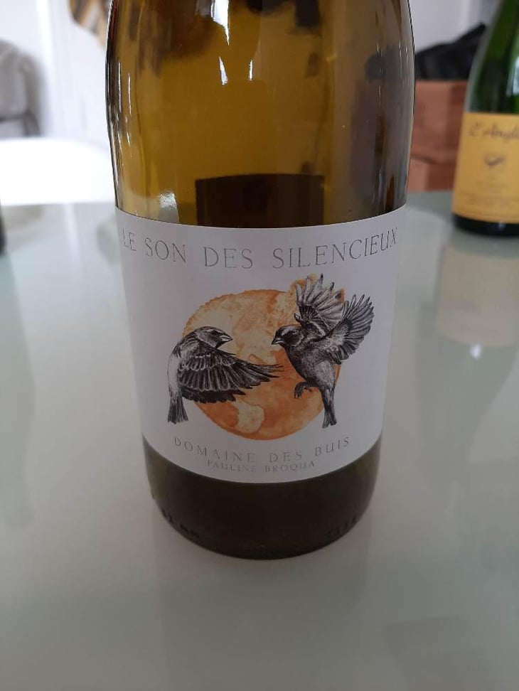 Le Son Des Silencieux - Domaine des Buis - Pauline Broqua 