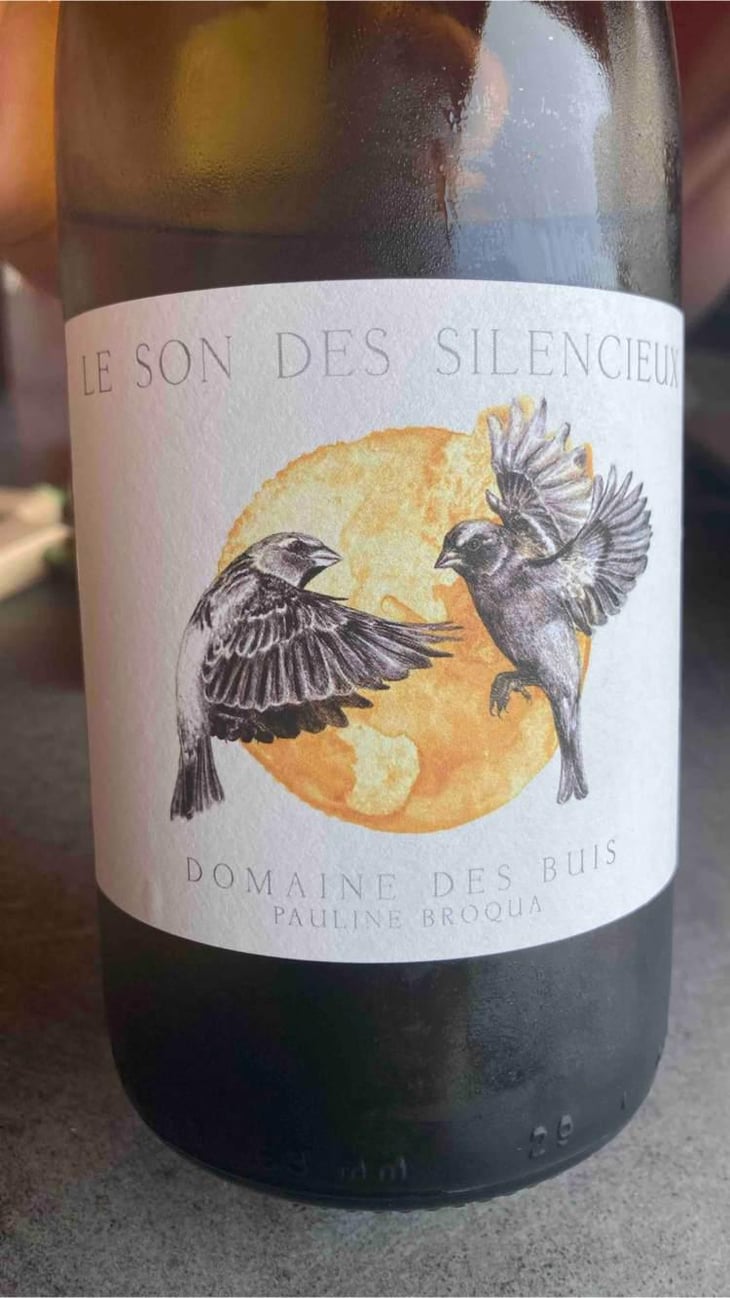 Le Son Des Silencieux - Domaine des Buis - Pauline Broqua 