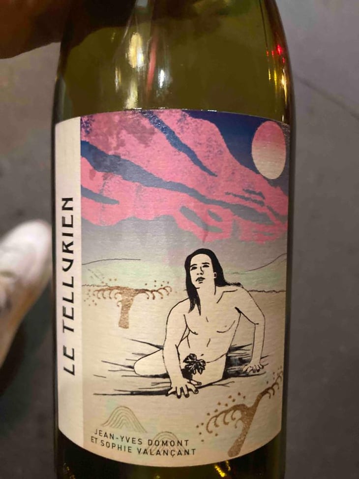 Le Tellurien - Les Vins De Mont-Val - Sophie Valançant & Jean-Yves Domont 