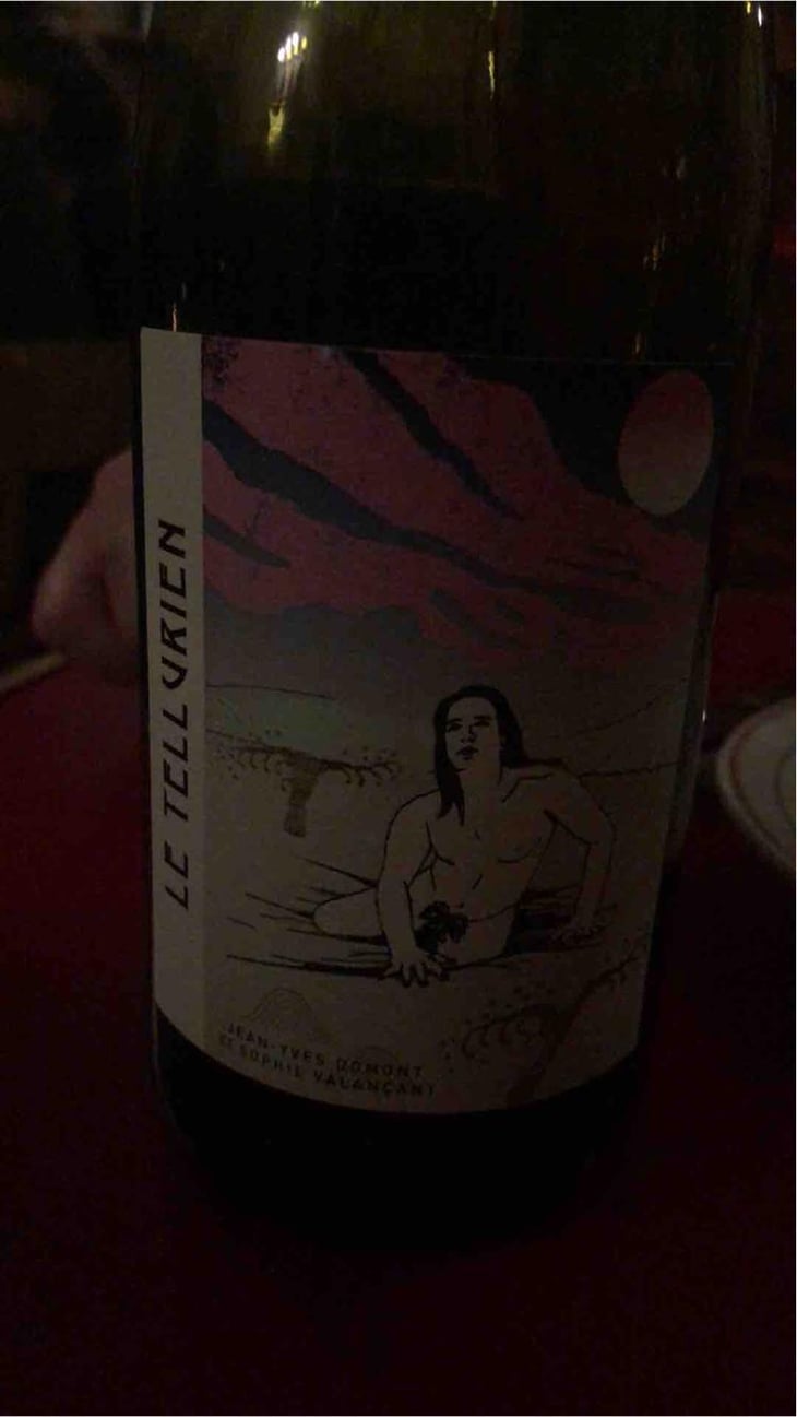 Le Tellurien - Les Vins De Mont-Val - Sophie Valançant & Jean-Yves Domont 
