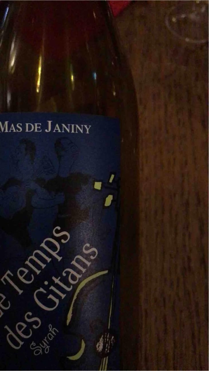 Le Temps des Gitans - Mas de Janiny - Thierry et Pascal Julien 