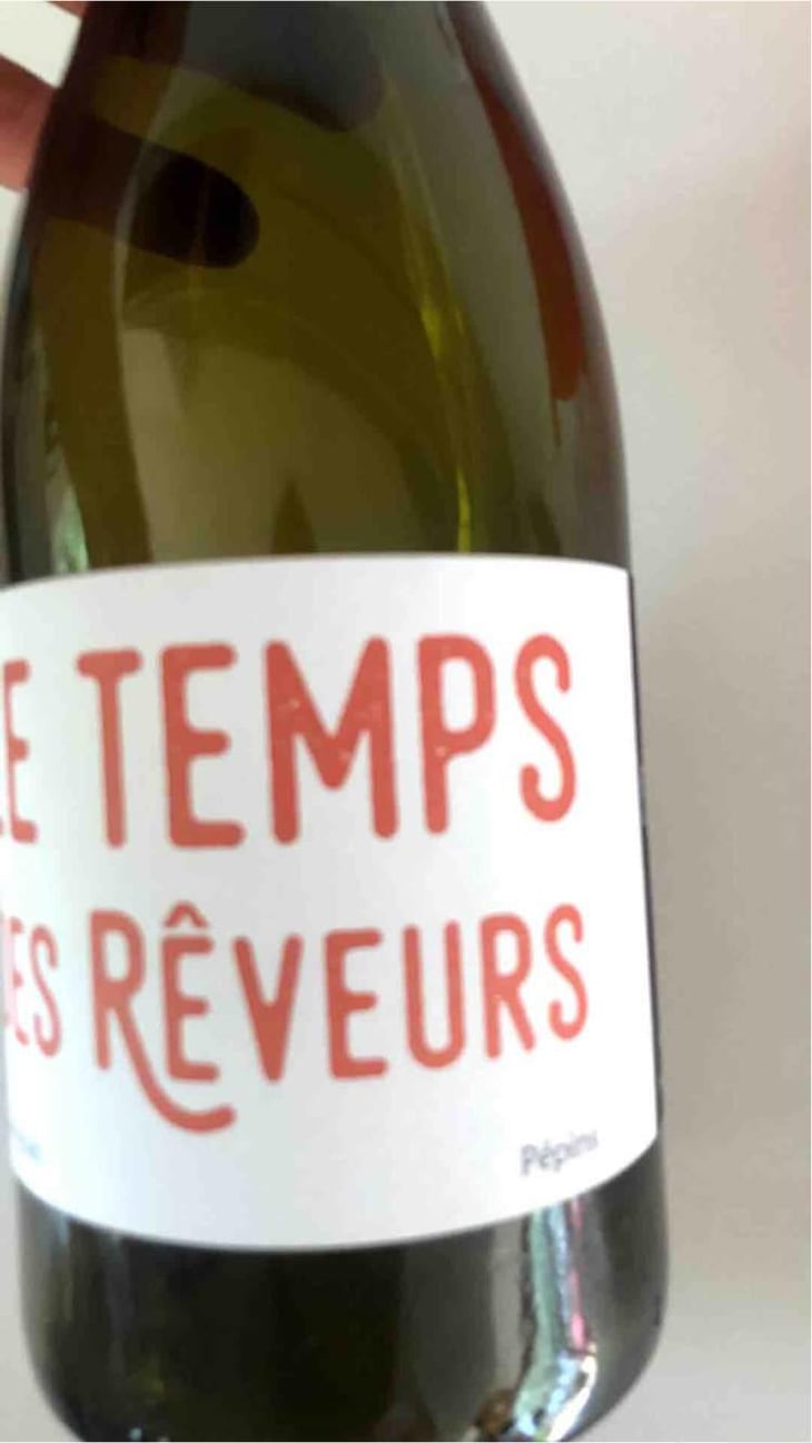 Le Temps Des Rêveurs - Le Temps Des Rêveurs - Jérôme Maillot 