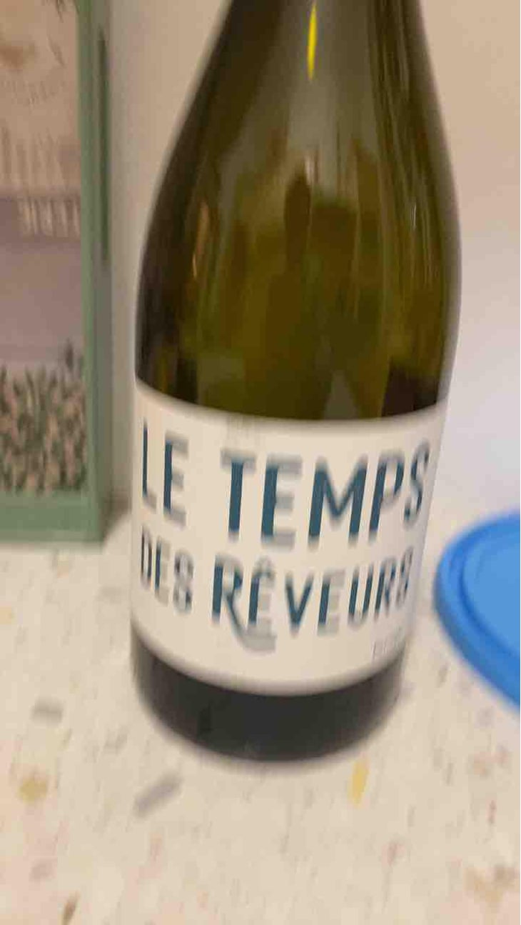 Le Temps Des Rêveurs - Le Temps Des Rêveurs - Jérôme Maillot 