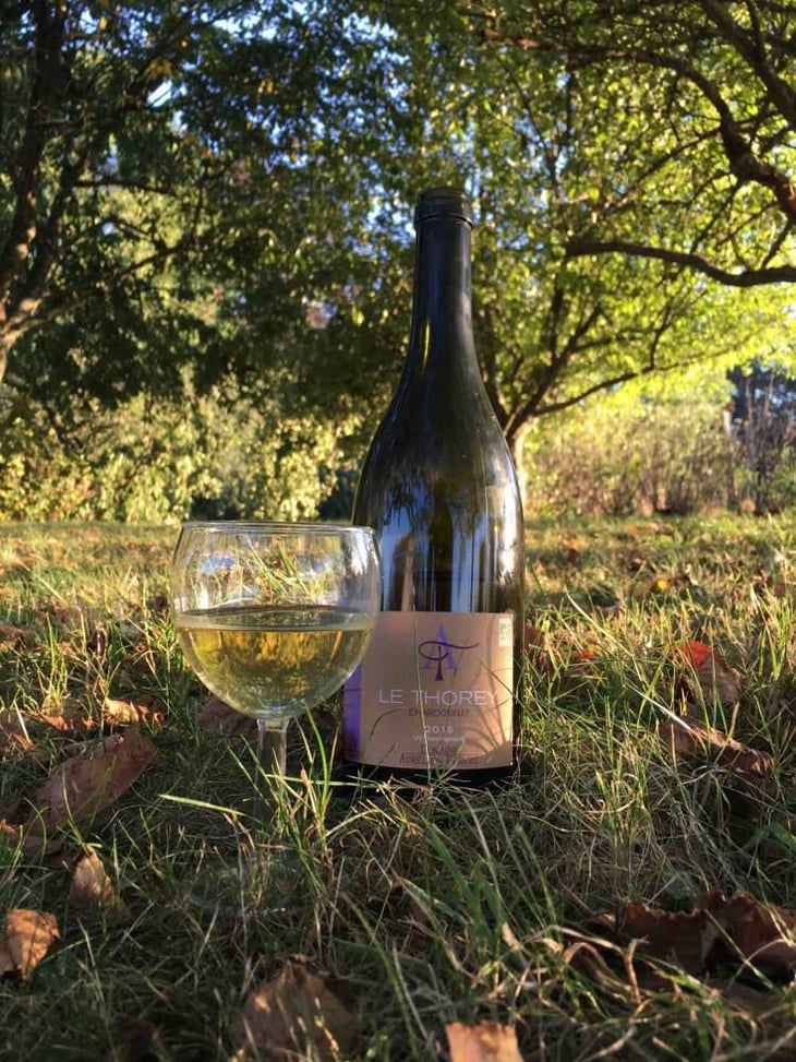 Le Thorey - Domaine Aurélien Febvre - Aurélien Febvre 